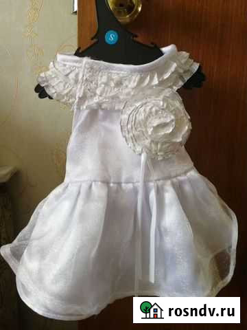 Платье Красноярск - изображение 1