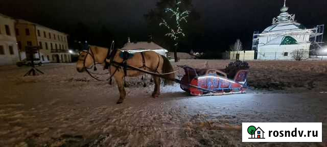 Прогулки на лошадях Суздаль - изображение 1