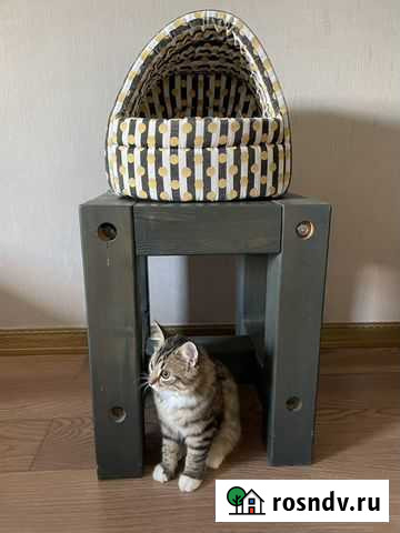 Домик для кошки Калининград - изображение 1