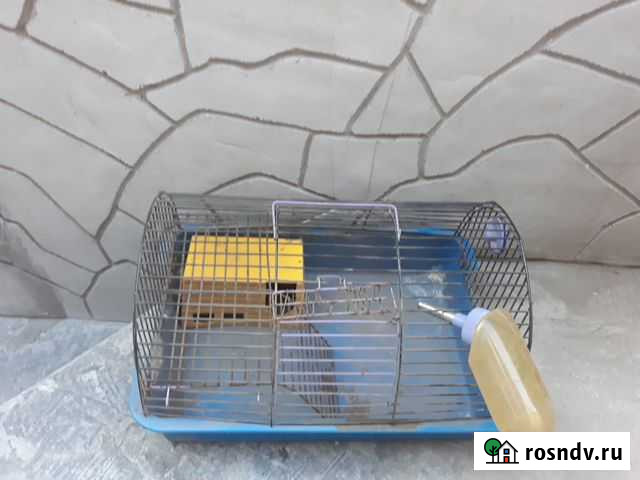 Клетка Улан-Удэ - изображение 1