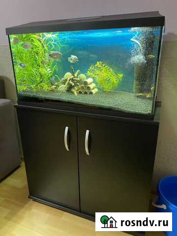 Аквариум Новокузнецк - изображение 1