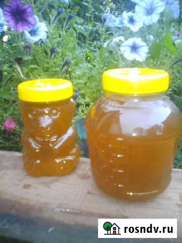 Мёд. Алтая. свая пасека. опт. розница Бийск - изображение 1