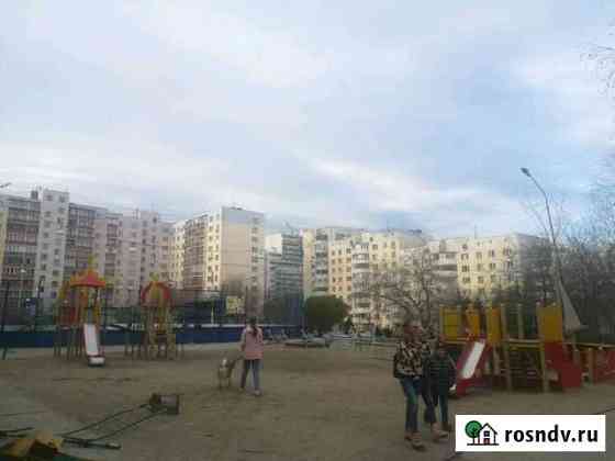 Выгул собак Новосибирск