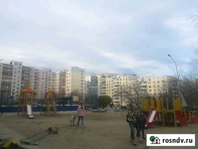 Выгул собак Новосибирск - изображение 1