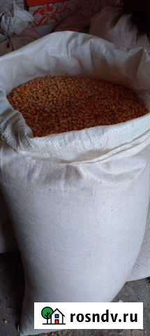 Доставка зерна(кукуруза) Шацк - изображение 1