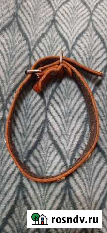 Ошейник для маленьких собак Ивантеевка - изображение 1