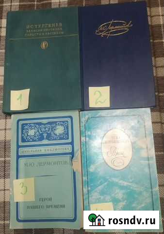 Лермонтов, Тургенев Волжский - изображение 1
