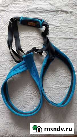 Шлейка для большой собаки Хабаровск - изображение 1