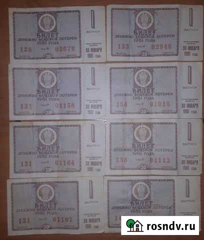 Билет денежно-вещевой лотереи 1981 года Великие Луки - изображение 1