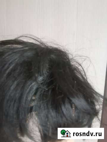 Парики б/у Томск - изображение 1