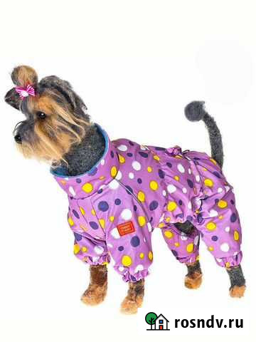 Комбинезон-Дождевик для мини собачек(Йоркширский т Ярославль - изображение 1