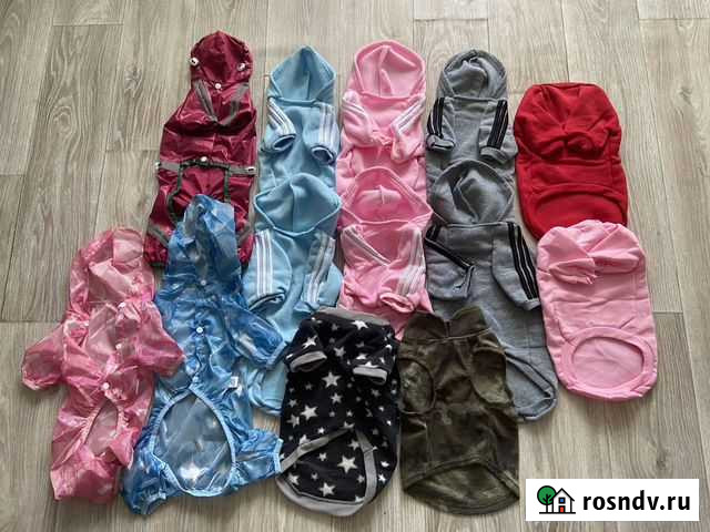 Костюмы для собак мелкоц породы Томск - изображение 1