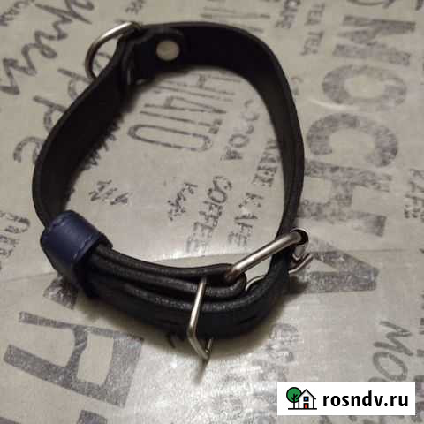 Ошейник Барнаул - изображение 1