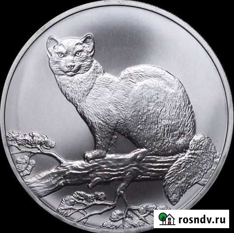 Соболь - инвестиционная монета, серебро Новокузнецк - изображение 1
