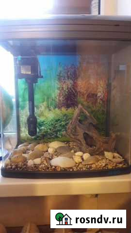 Готовый аквариум для любых животных Ярославль - изображение 1