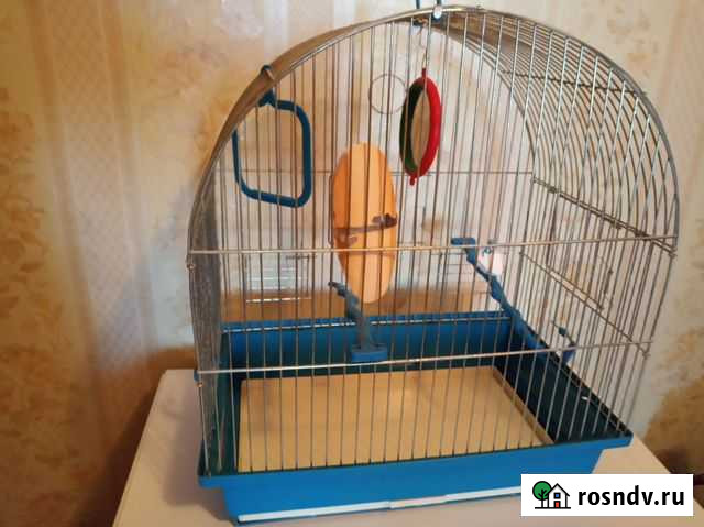 Клетка для птичек Волгоград - изображение 1