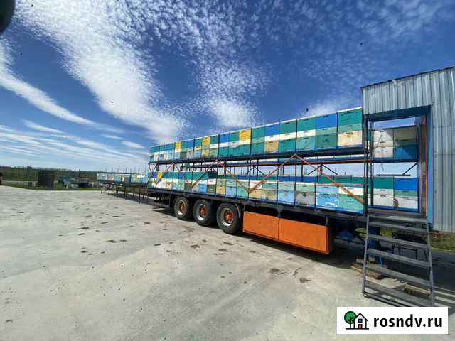 Пчелоприцеп пасека Ростов-на-Дону - изображение 1