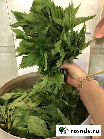 Крапива отваренная и замороженная для пхали Ростов-на-Дону - изображение 1