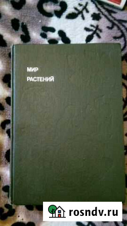 Мир растений Севастополь - изображение 1