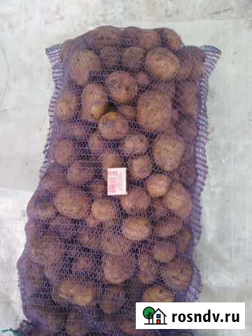 Картофель некондиция Аргаяш - изображение 1