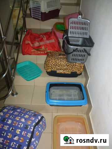 Домики переноски и др. Обмен Сочи - изображение 1