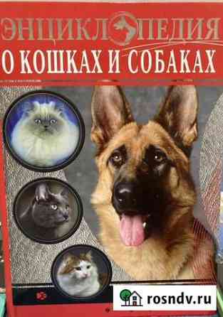 Новые книги Пенза