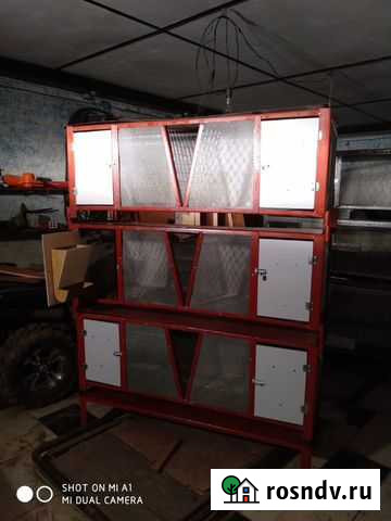 Новые клетки для кроликов Петушки - изображение 1