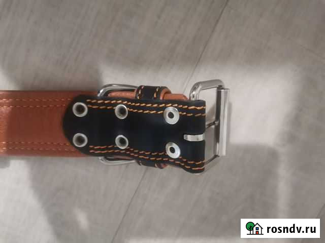 Ошейник Тобольск - изображение 1