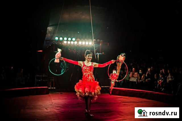 Праздники,дни рождения Омск - изображение 1