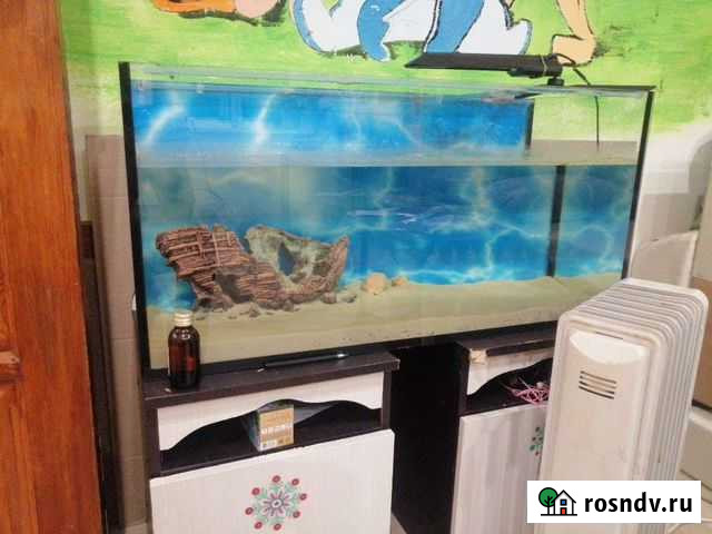 Аквариум Саратов - изображение 1