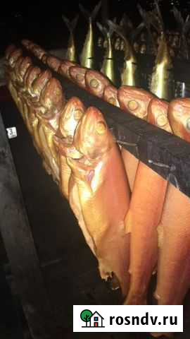 Копченая Рыба Сочи - изображение 1