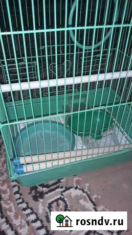 Клетка для попугая Казань - изображение 1