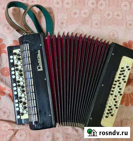 Баян готово выборный юность 2 Санкт-Петербург - изображение 1