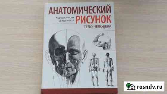 Анатомический рисунок Тело человека Иваново