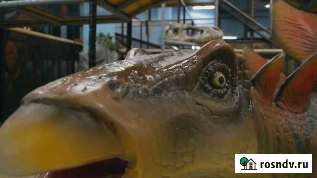 Видеоооператор, видеосъёмка. Проекты разного типа Москва - изображение 1