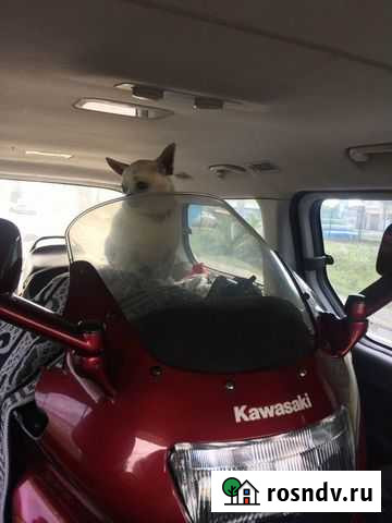 Kawasaki zzz 400 Москва - изображение 1