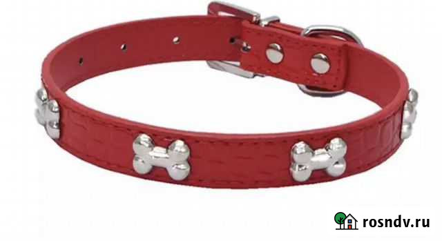 Ошейник Липецк - изображение 1