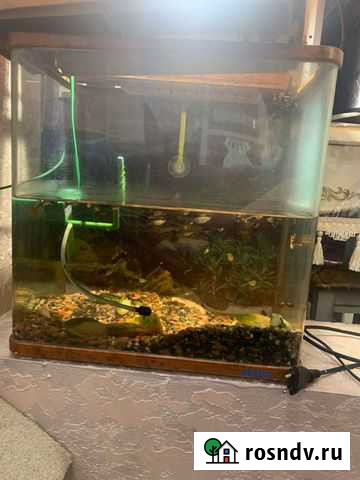 Аквариум Домодедово - изображение 1