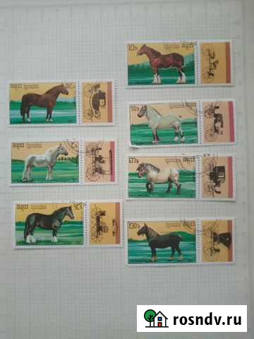 Марки. Породы лошадей. Кампучия Троицк - изображение 1