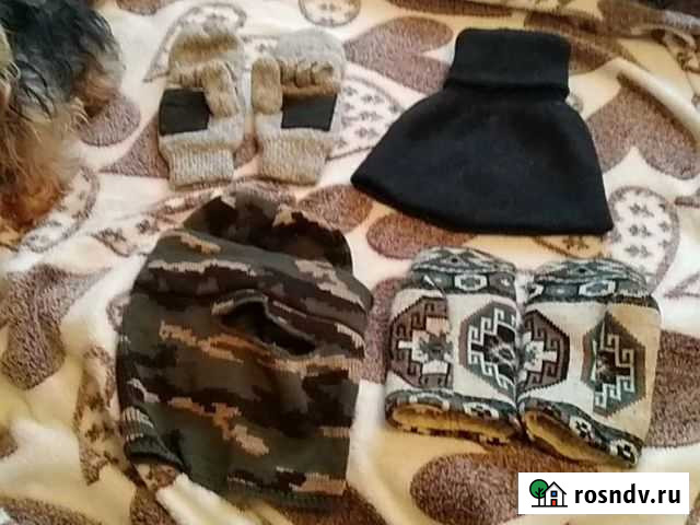 Шапка.варежки.руковички Волгоград - изображение 1