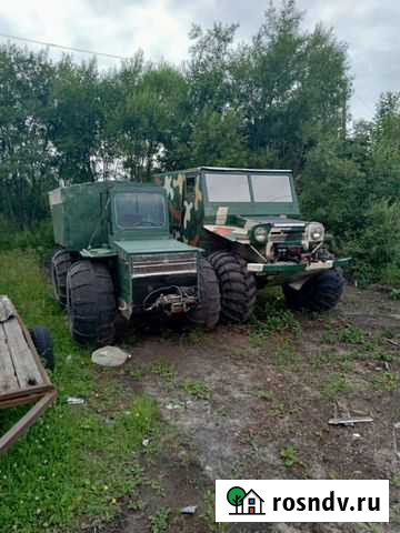 Болотоход Колпашево - изображение 1