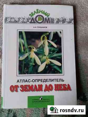 Книги Лиски