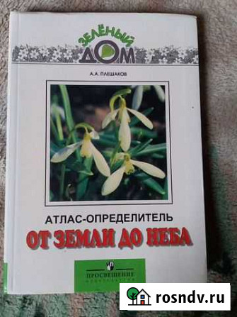 Книги Лиски - изображение 1