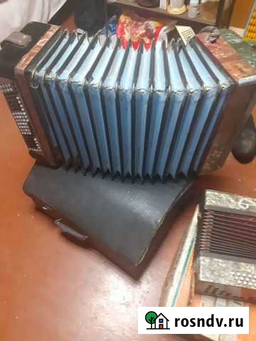 Музыкальный акардион Иркутск - изображение 1