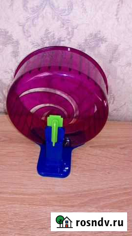 Колесо для хомяка Кемерово - изображение 1