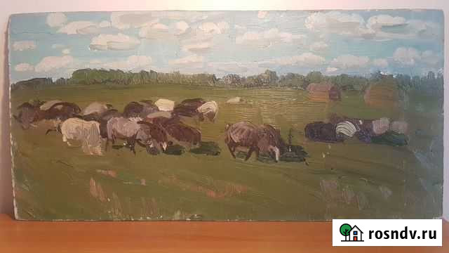 Карина Стадо. Шурпин С. Ф. Оргалит - масло. 69г Москва - изображение 1