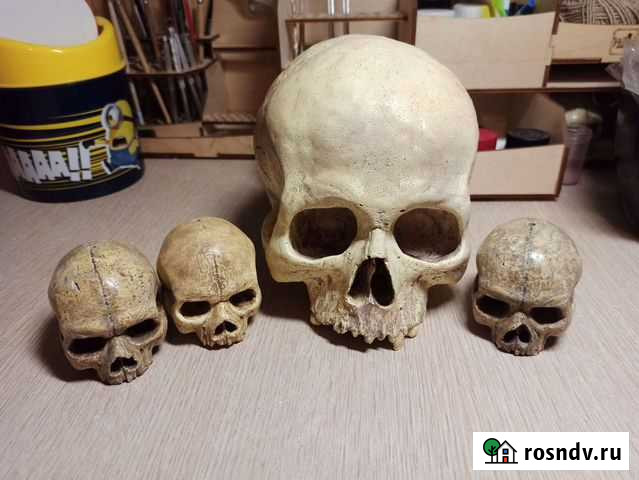 Черепа Калуга - изображение 1