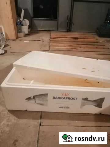 Термо контейнер Волжский - изображение 1