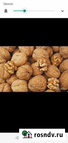 Орех грецкий в большом количестве Валуйки - изображение 1