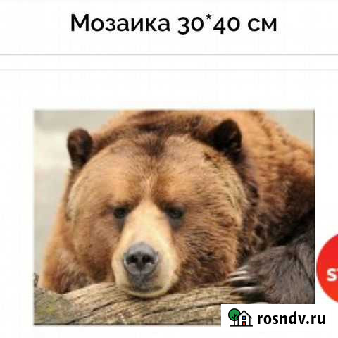 Алмазная мозайка Новосибирск - изображение 1